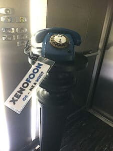 Xenofoon in de lift